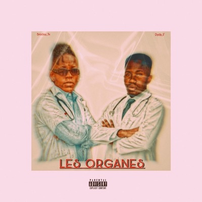 Les Organes (feat. Bradley TK) - Single