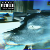 Big Dog Freestyle - Single - Alexx