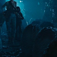 Return 2 Dreamrs Land - d.b. roach