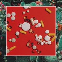 Can't Forget - Single - Sexy Pigeon