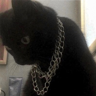 Silver Chain - Single