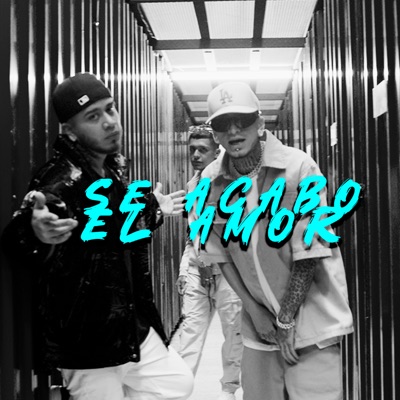 Se Acabo el Amor - Single