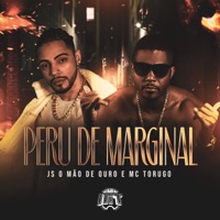 Peru de Marginal - Single - JS o Mão de Ouro & MC Torugo
