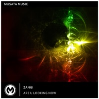 Are U Looking Now - Single - ZANGI