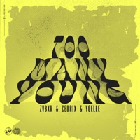 Too Many Young - Single - ZVBXR, Cedrix & Yoelle