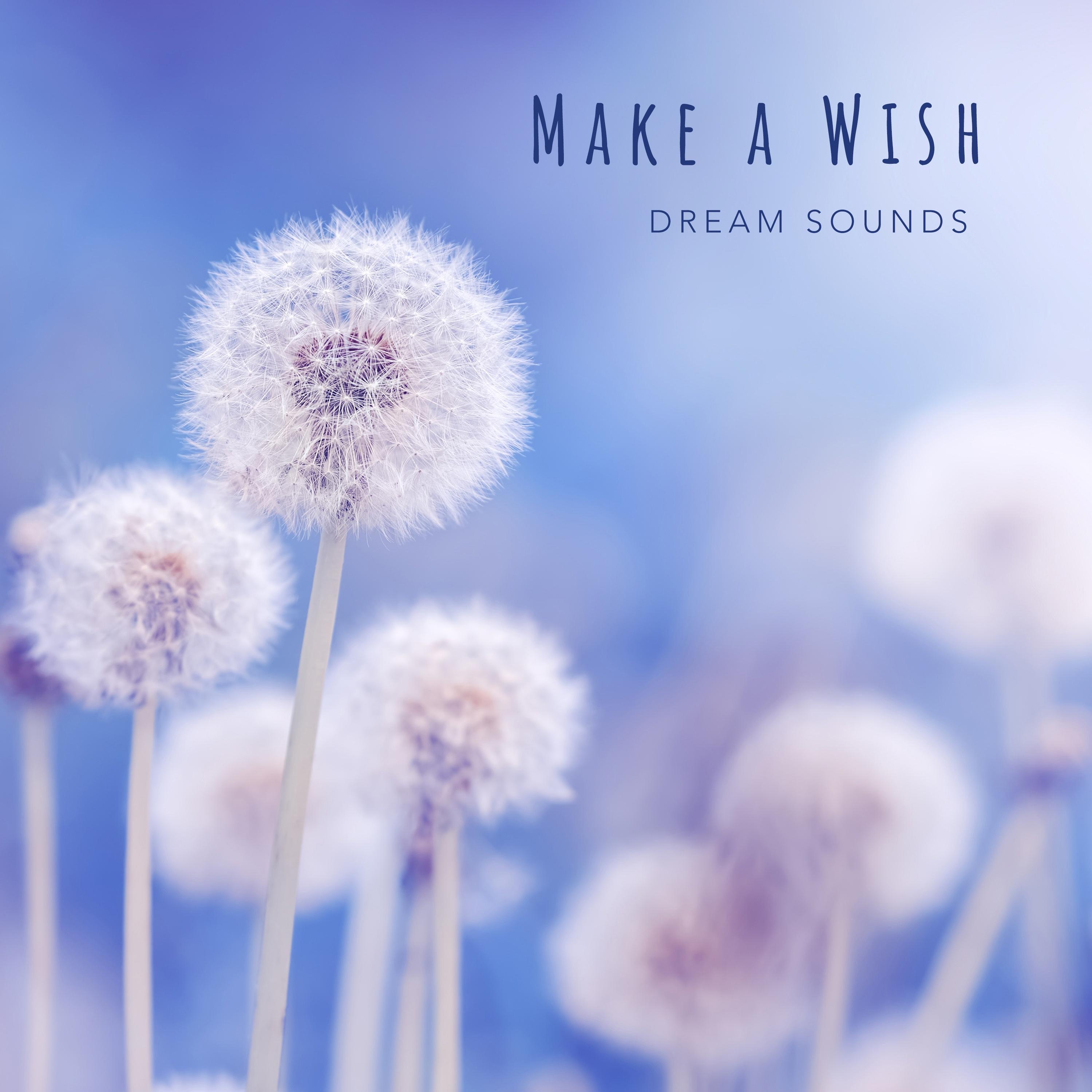Make a Wish