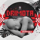 Drimota (Yan Zapolsky & Soundpill Remix) artwork