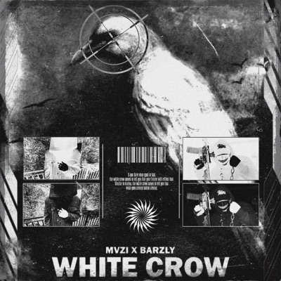 WHITE CROW (feat. Barzly) - Single