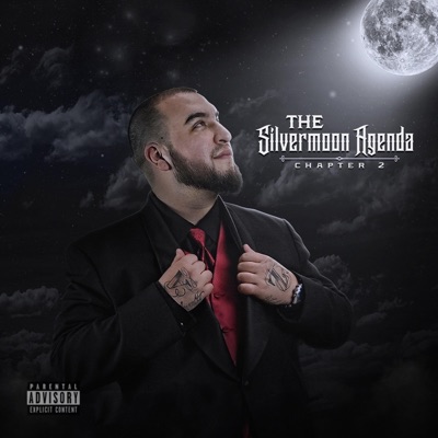 The Silvermoon Agenda Chapter 2