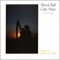 The Ash Grove - Patrick Ball lyrics
