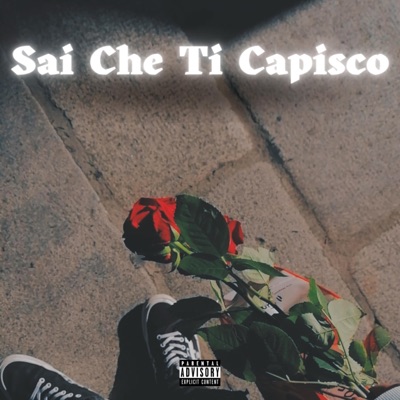 Sai Che ti Capisco - Single