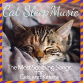 Cat Sleep Music: The Most Soothing Songs for Cats and Kittens artwork