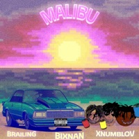 Malibu - Single - Brailing, Bixnan & XNUMBLOV