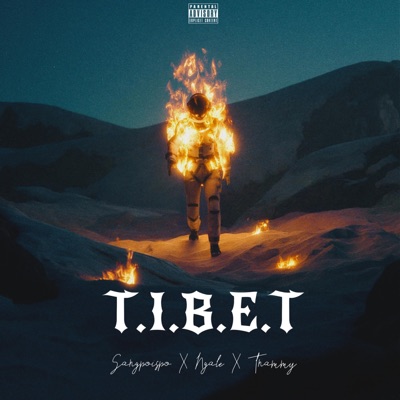 T.I.B.E.T (feat. Ngale & Tnammy) - Single