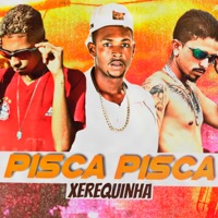 Pisca Pisca Xerequinha - Single - Mago no Beat, Cabelinho na Voz & Neguin ZN