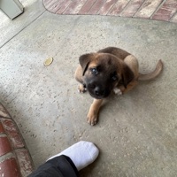 Her - Single - Cluto