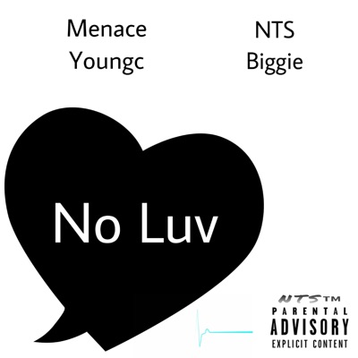 No Luv (feat. NTS Biggie) - Single