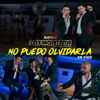 No Puedo Olvidarla - Single - Banda Los Montoya