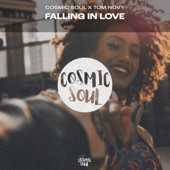 Falling In Love (Extended Mix) artwork