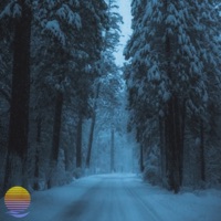 Conifers - Single - Fwn & Longlaïx