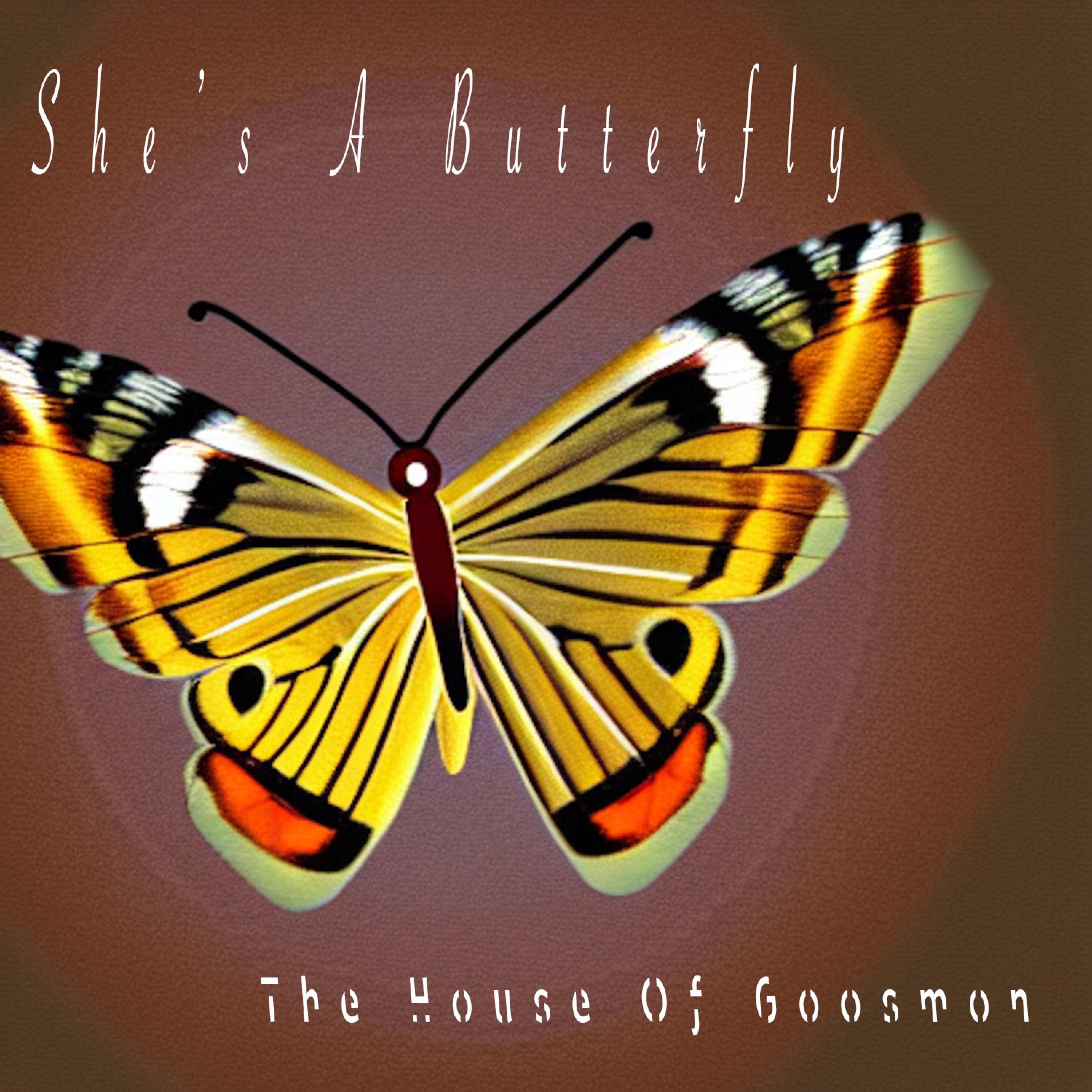She's a Butterfly - Single
