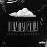 I wanna know (feat. BKBchriss) - Single - BKBfitz