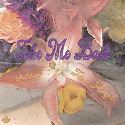 Take Me Back (feat. Tara Angel) - Single