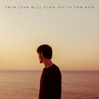 True Love Will Find You in the End - Sun Tailor