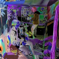 Schmetterling - Single - Neeko Lsh