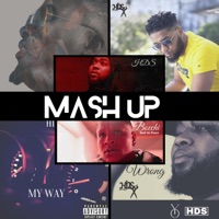 Mash Up - Single - HDS
