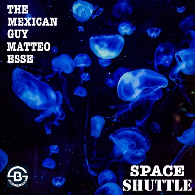 Space Shuttle - Single
