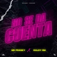 No Se Da Cuenta (feat. Raldy RM) - Single - Mr Franky
