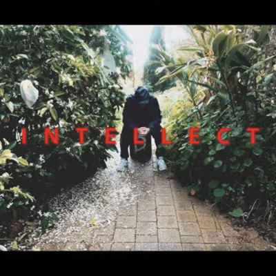 Intellect - Single