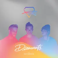 Un Sostre fet d'estrelles — Els Catarres