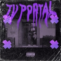TU PORTAL - Single - 4.1