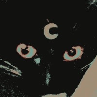 Versatile - EP - RHINOO!