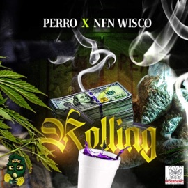 Rollin (feat. Nfn wisco) Perro