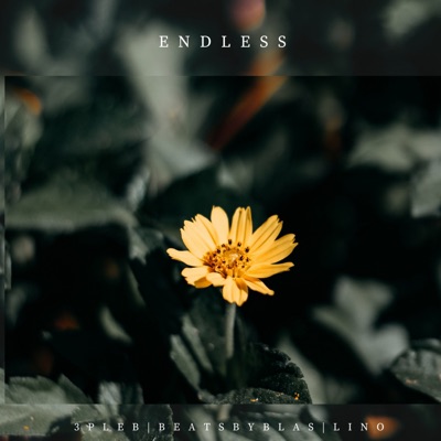 Endless - Single