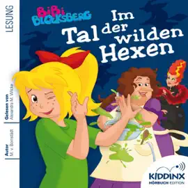 Im Tal der wilden Hexen: Bibi Blocksberg Hörbuch