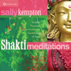 Shakti Meditations: Guided Practices to Invoke the Goddesses of Yoga - Sally Kempton