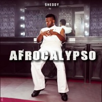 Afrocalypso - Single - Sheddy