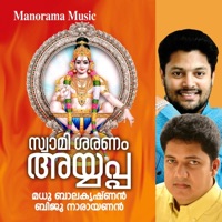 Swami Saranam Ayyappa - Biju Narayanan & Madhu Balakrishnan