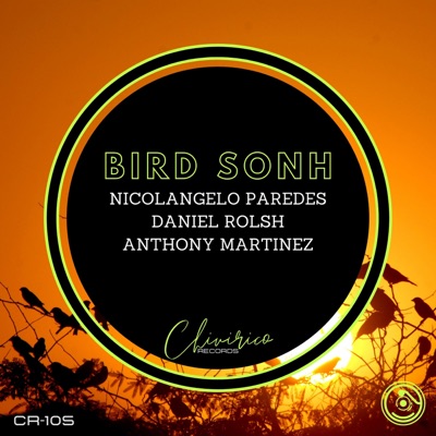 Bird Sonh - Single