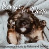 Songs for Dogs - Instrumental Music to Relax and Soothe