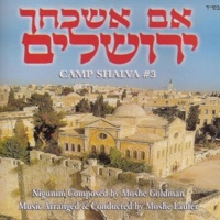 משה גאלדמאן - אני מאמין