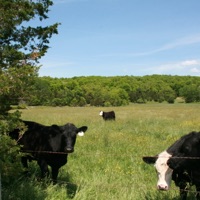 Haystack - Single - Garr