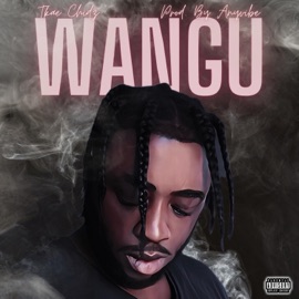 Wangu Tkae Chidz