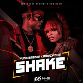 Shake - Yung Bredda &amp; Marcy Chin Cover Art