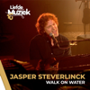 Jasper Steverlinck - Walk On Water - uit Liefde Voor Muziek artwork