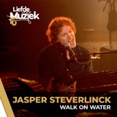 Walk On Water - uit Liefde Voor Muziek artwork